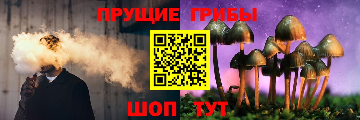 Кулебаки  Галлюциногенные грибы Psilocybe  купить наркотики сайты  Псилоцибиновые грибы GOLDEN TEACHER  Вход с VPN 