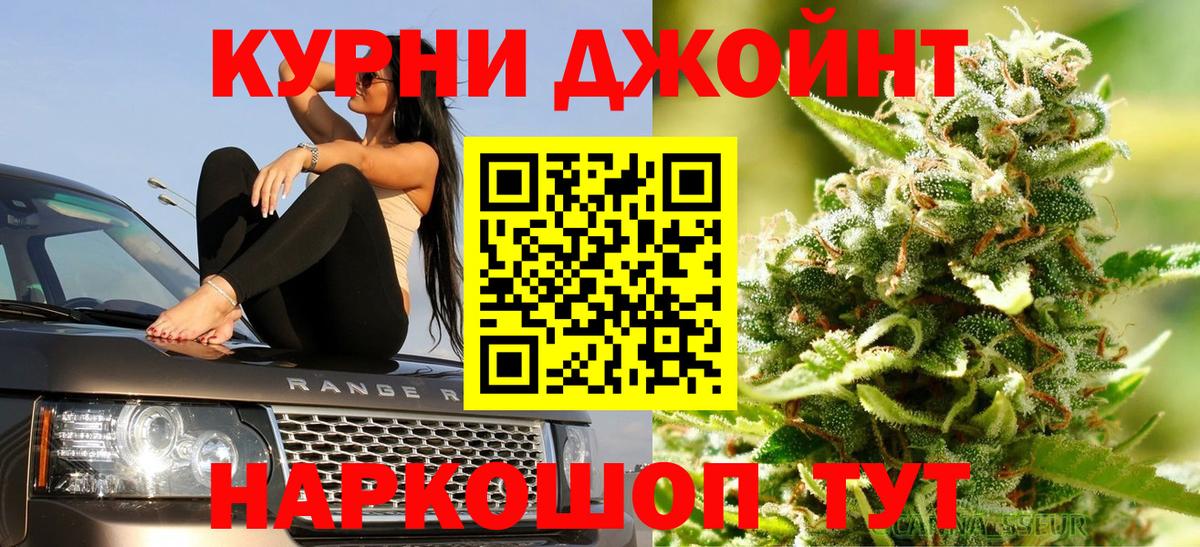 Бошки Шишки планчик Кулебаки